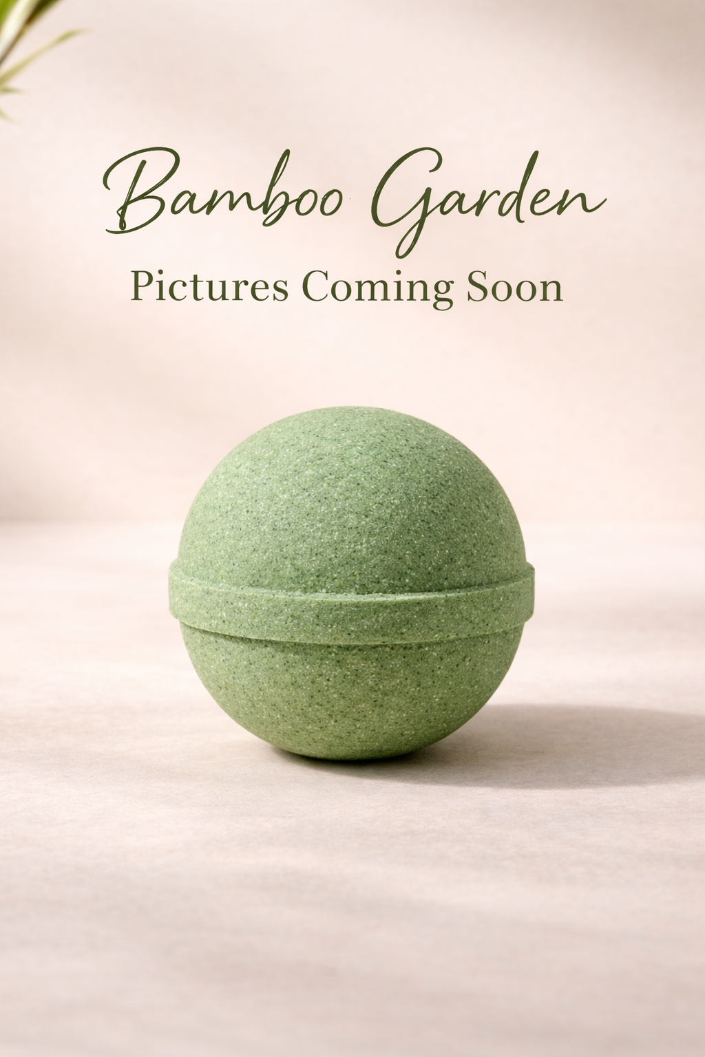 Bamboo Garden Bath Bomb