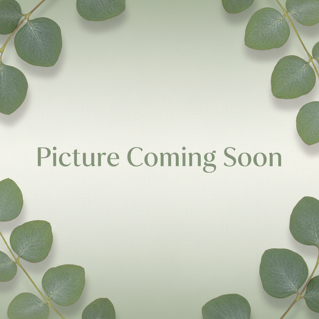 Picture Coming Soon with Eucalyptus